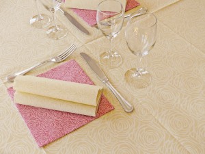 Tovagliato Monouso di Alta Qualità per il Settore Ho.Re.Ca.