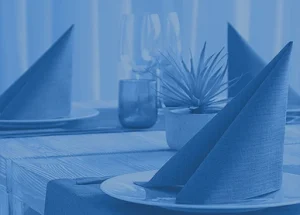 Servizi tavola di alta qualità per alberghi ristoranti