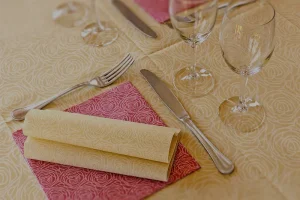 Forniture professionale di tovaglioli da tavola di alta qualità.