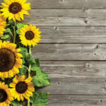 Tovaglietta e portaposate "Heliantus"